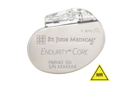 Endurity Core PM1140