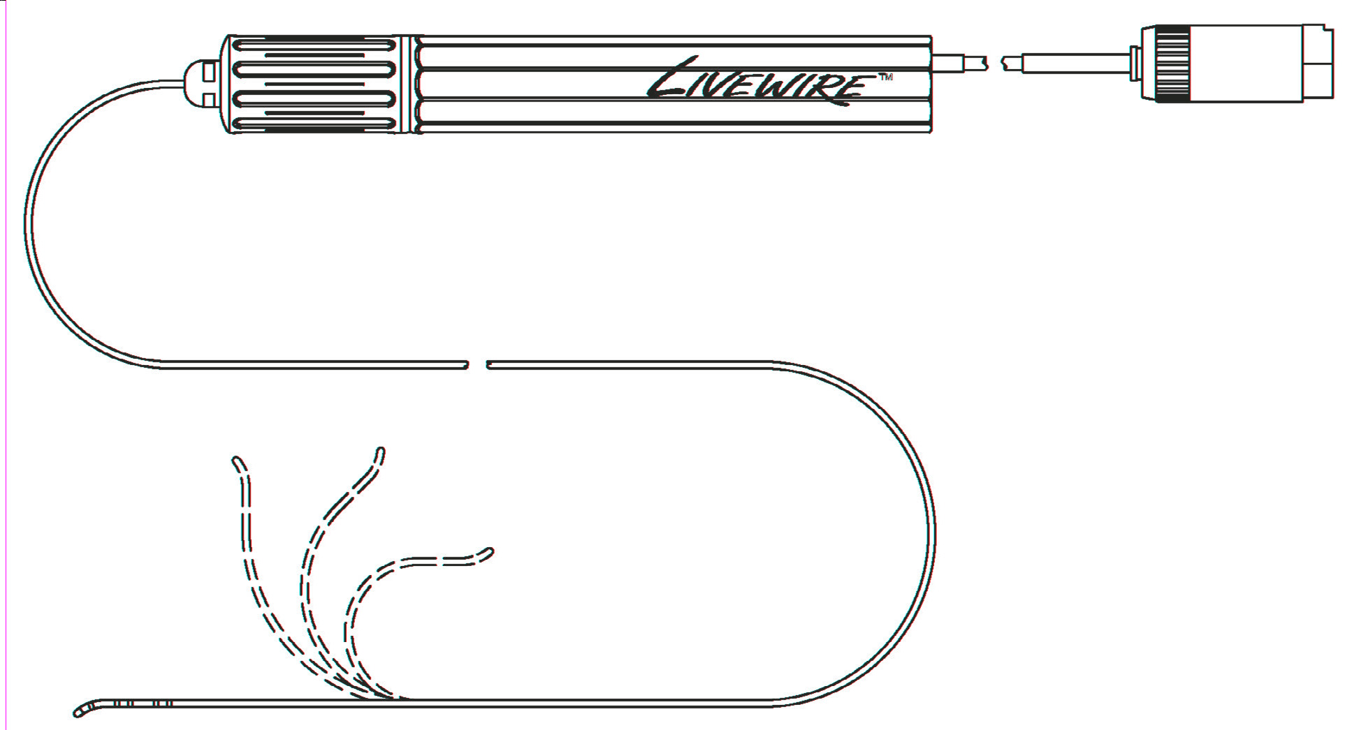 Livewire Electrophysiology Catheter